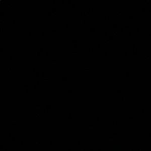 Meet your Posher, Kurtis